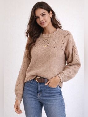 Astr the label Women's Brown Crew Neck Sweater XL